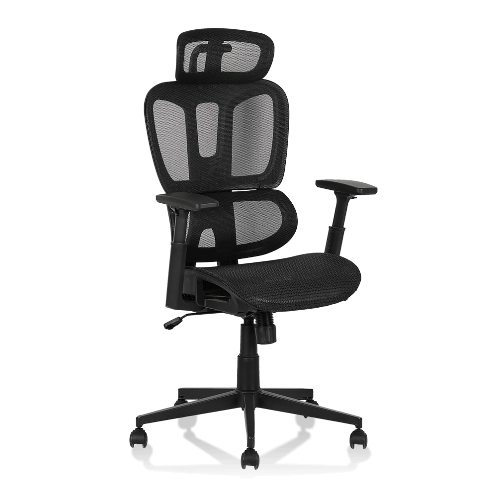 XL-5093 Lumbar split ergonomic Mesh kerusi